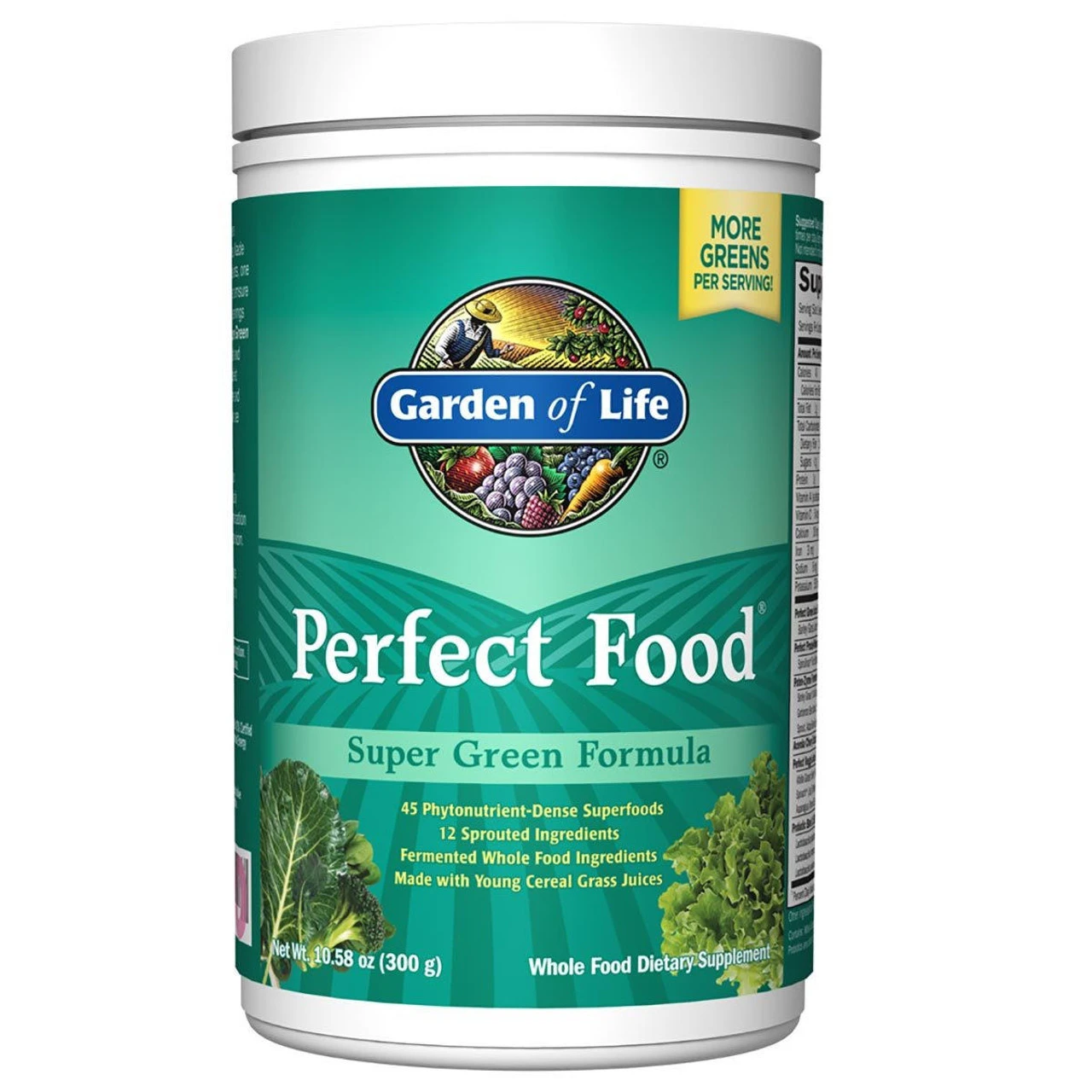 Garden Of Life Perfect Food Super Green Formula 300 Grams 1 Garden Of Life Perfect Food Super Green Formula 300 Grams