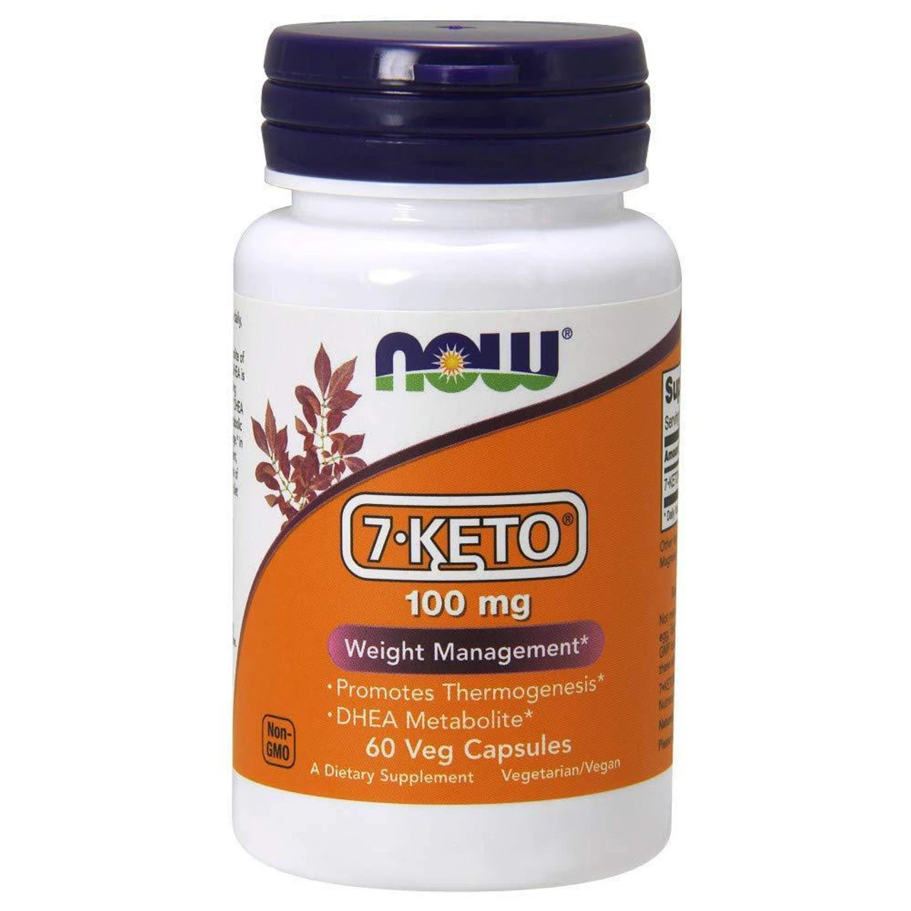 Now Foods 7-Keto DHEA 100mg 60 Vege Caps 1 Now Foods 7-Keto DHEA 100mg 60 Vege Caps