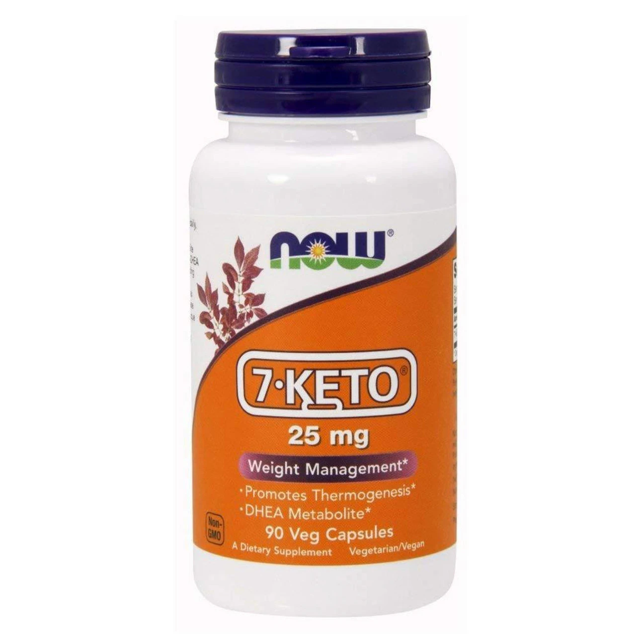 Now Foods 7-Keto 25mg 90 Vegetable Capsules 1 Now Foods 7-Keto 25mg 90 Vegetable Capsules