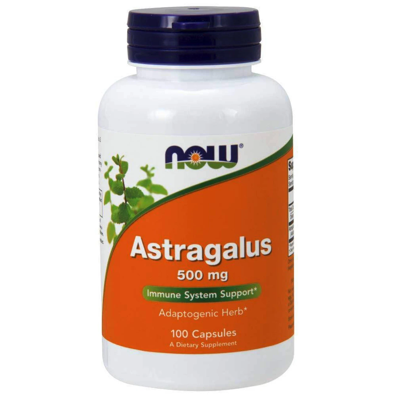 Now Foods Astragalus 500mg 100 Capsules 1 Now Foods Astragalus 500mg 100 Capsules