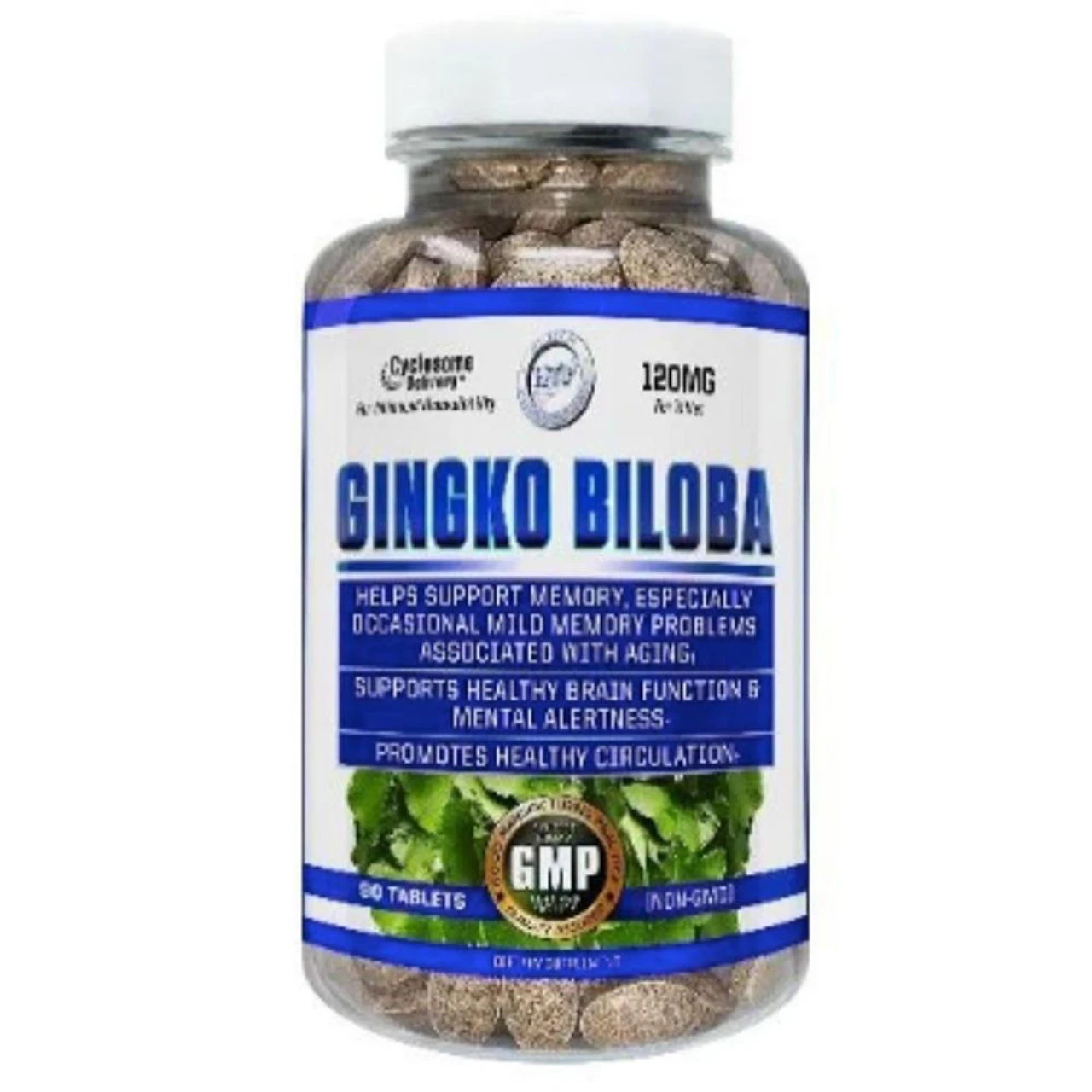 Hi-Tech Pharmaceuticals Ginkgo Biloba 120mg 90CT 1 Hi-Tech Pharmaceuticals Ginkgo Biloba 120mg 90CT