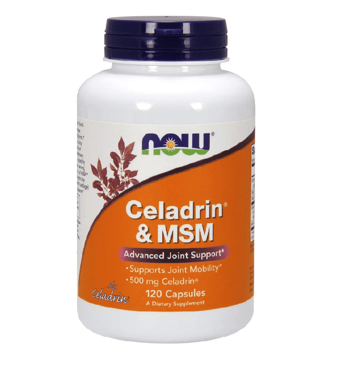 Now Foods Celadrin & MSM 500mg 120 Capsules 1 Now Foods Celadrin & MSM 500mg 120 Capsules