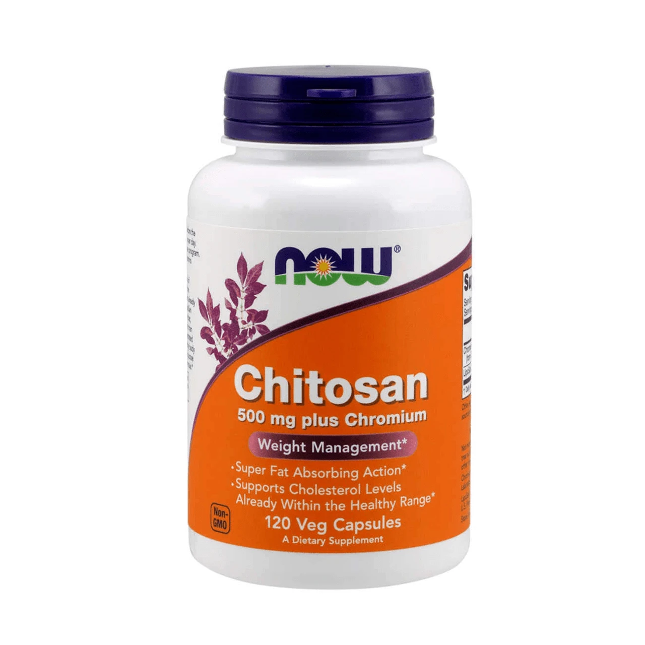 Now Foods Chitosan 500mcg 120 Capsules 1 Now Foods Chitosan 500mcg 120 Capsules