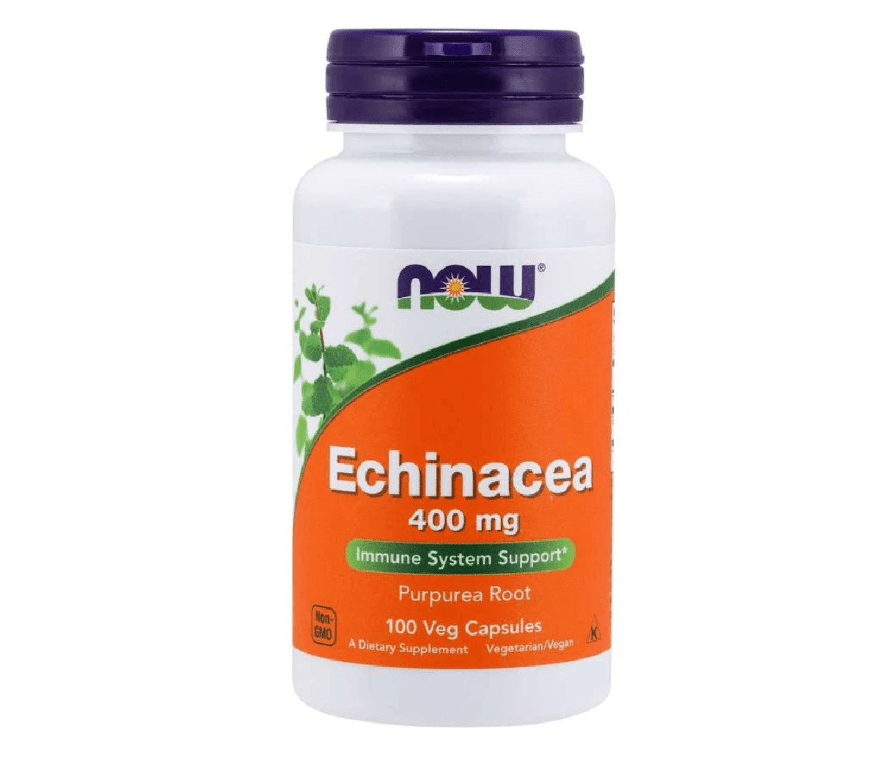 Now Foods Echinacea Purp 400 Mg 100 Capsules 1 Now Foods Echinacea Purp 400 Mg 100 Capsules