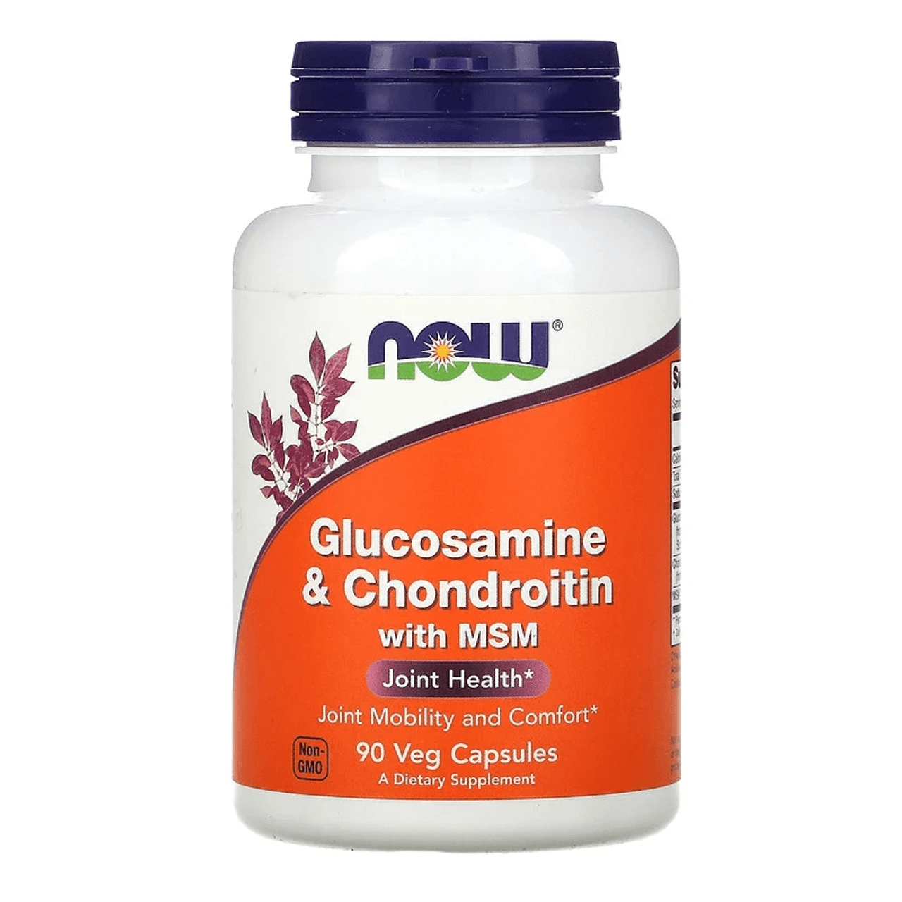 Now Foods Glucosamine And Chondroitin Plus MSM 90 Caps 1 Now Foods Glucosamine And Chondroitin Plus MSM 90 Caps