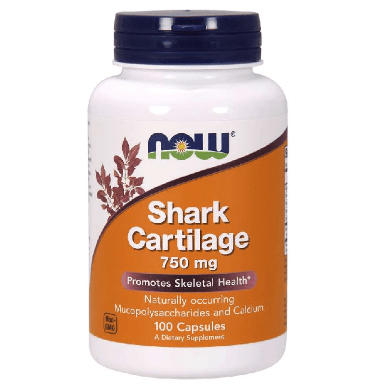 Now Foods Shark Cartilage 750 Mg 100 Capsules 1 Now Foods Shark Cartilage 750 Mg 100 Capsules