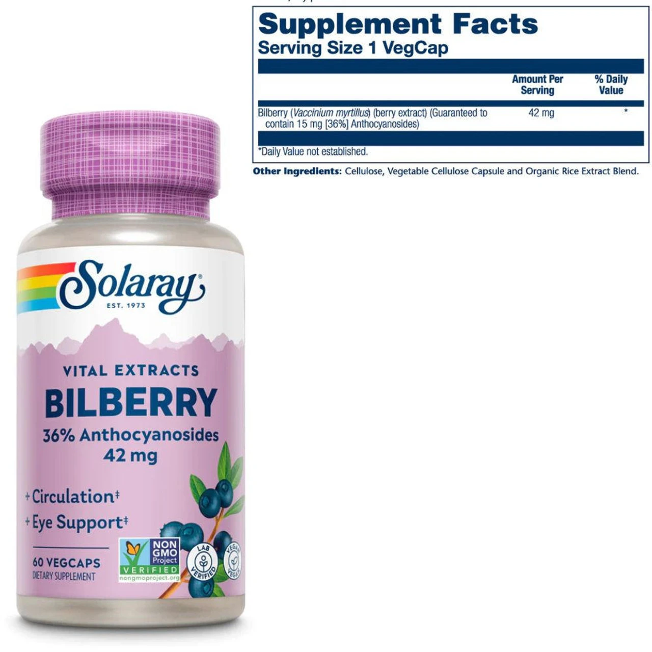 Solaray Bilberry Extract 42mg 60 Caps 3 Solaray Bilberry Extract 42mg 60 Caps - Image 3