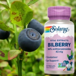Solaray Bilberry Extract 42mg 60 Caps 7 Solaray Bilberry Extract 42mg 60 Caps -Now Foods Store Untitled design 11 04506.1707416472