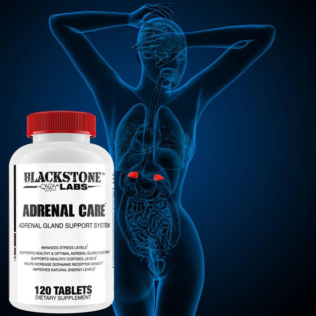 Blackstone Labs Adrenal Care 120 Tablets 4 Blackstone Labs Adrenal Care 120 Tablets - Image 4
