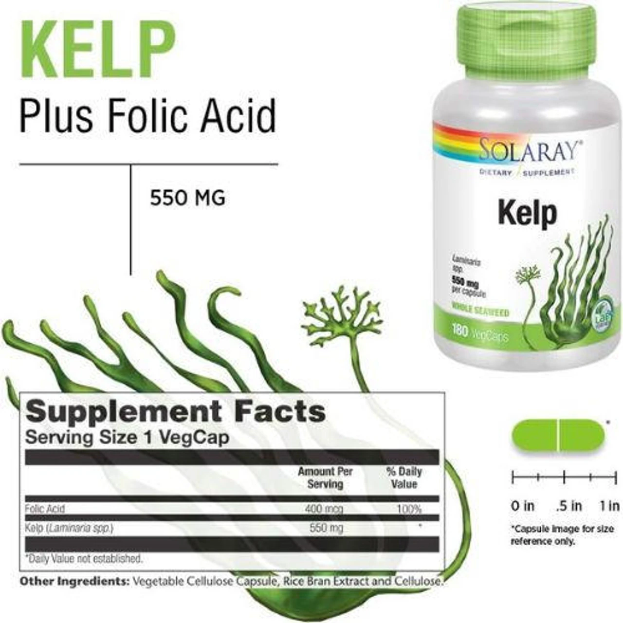 Solaray Kelp 550mg 180 Capsules 2 Solaray Kelp 550mg 180 Capsules - Image 2