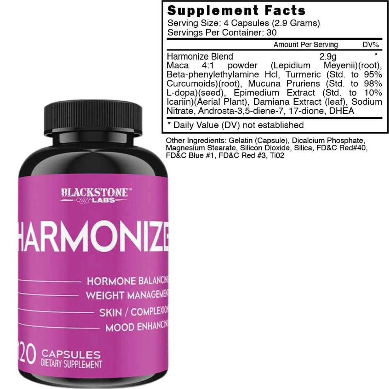 Blackstone Labs Harmonize 120c 3 Blackstone Labs Harmonize 120c - Image 3