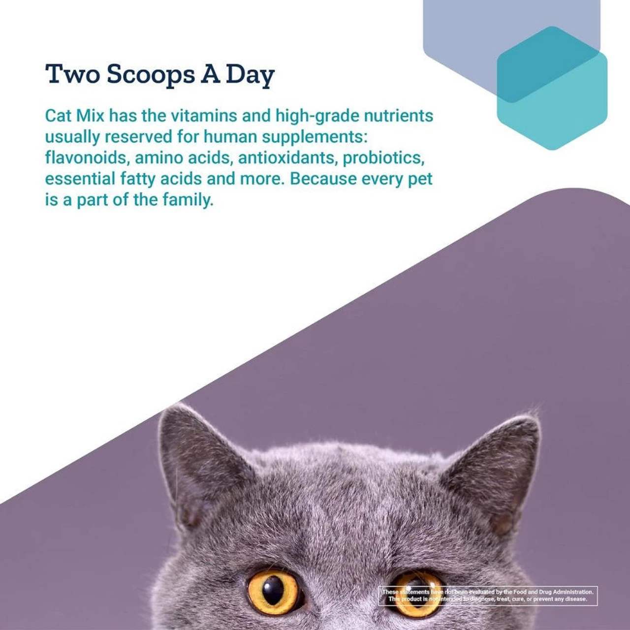 Life Extension Cat Mix 100g 4 Life Extension Cat Mix 100g - Image 4