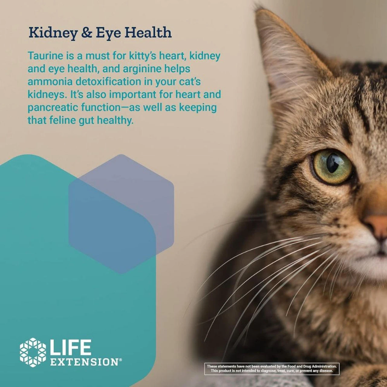 Life Extension Cat Mix 100g 3 Life Extension Cat Mix 100g - Image 3