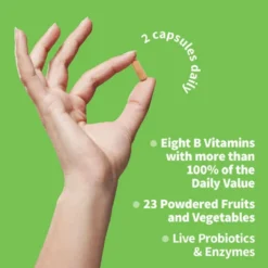 Garden Of Life Vitamin Code Raw B-Complex 120 Vege Caps 10 Garden Of Life Vitamin Code Raw B-Complex 120 Vege Caps -Now Foods Store Untitled design 36 37604.1707419680