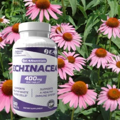 EASEchinacea 120 Tablets 10 EASEchinacea 120 Tablets -Now Foods Store Untitled design 36 82093.1702142504