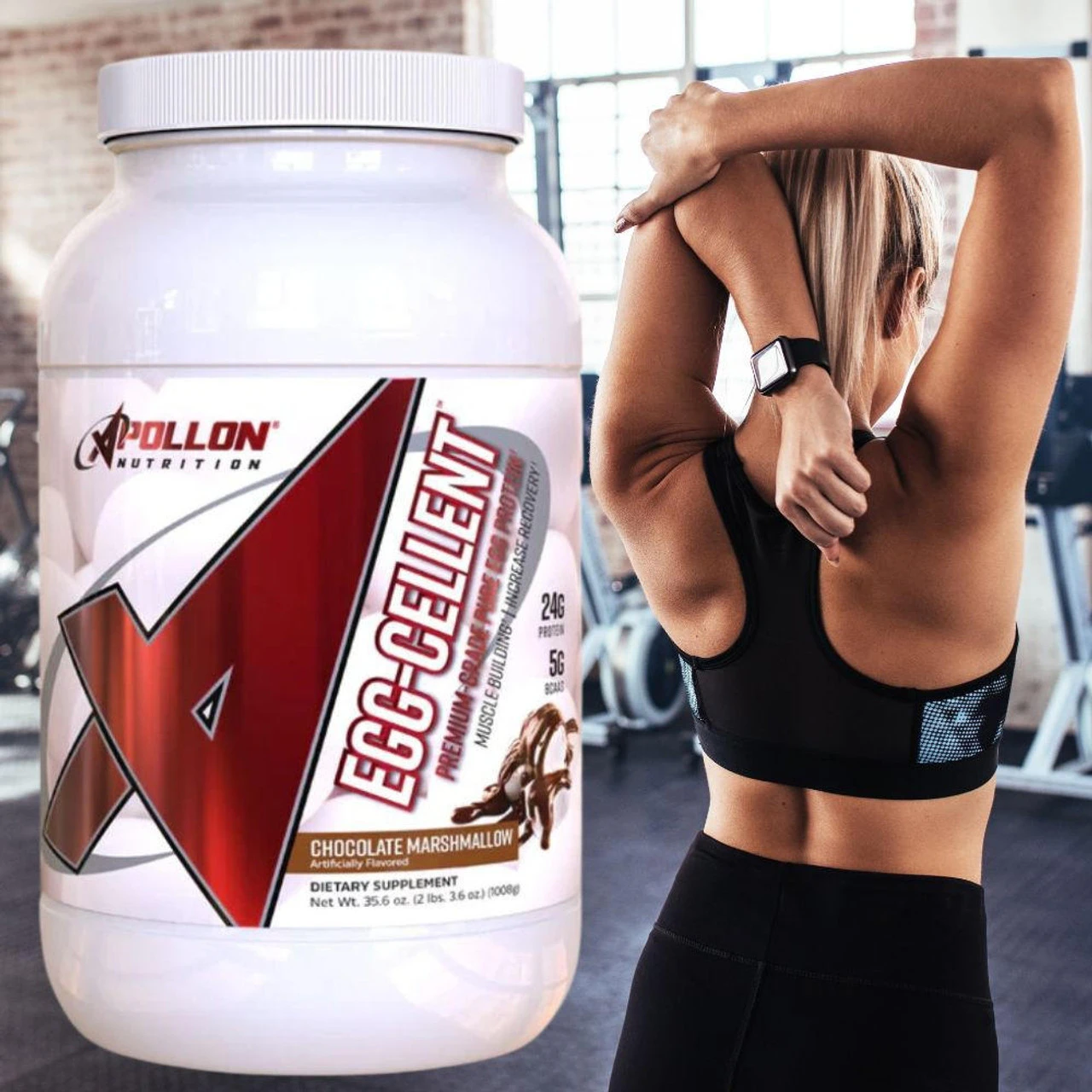 Apollon Nutrition Egg-Cellent Protein 2 Lb 4 Apollon Nutrition Egg-Cellent Protein 2 Lb - Image 4