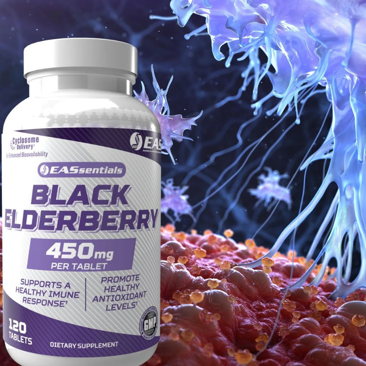 EAS Black Elderberry 120 Tablets 4 EAS Black Elderberry 120 Tablets - Image 4