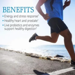 Garden Of Life Vitamin Code Raw One For Men 75 Caps 6 Garden Of Life Vitamin Code Raw One For Men 75 Caps -Now Foods Store Untitled design 57 82011.1707418472