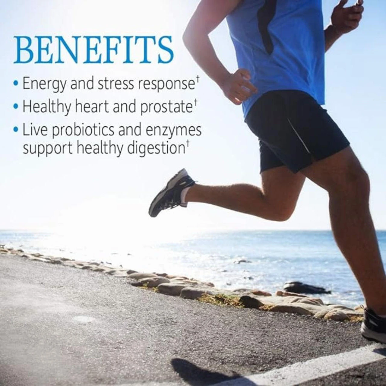 Garden Of Life Vitamin Code Raw One For Men 75 Caps 3 Garden Of Life Vitamin Code Raw One For Men 75 Caps - Image 3