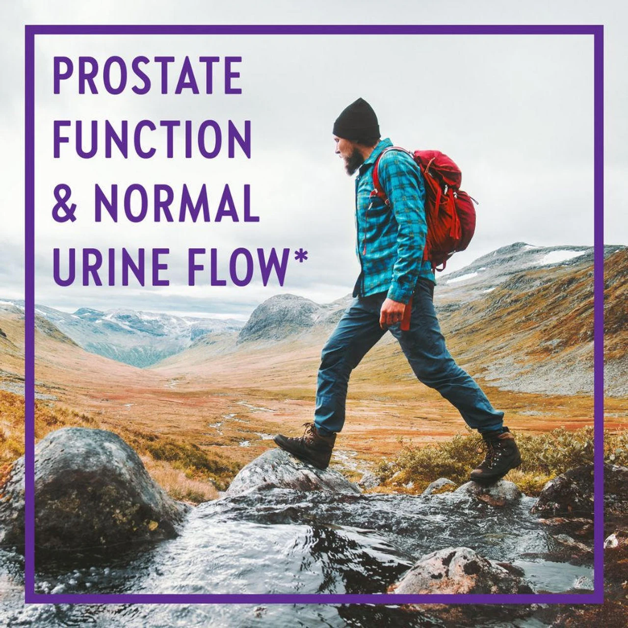 New Chapter Zyflamend Prostate 60 Vege Caps 3 New Chapter Zyflamend Prostate 60 Vege Caps - Image 3