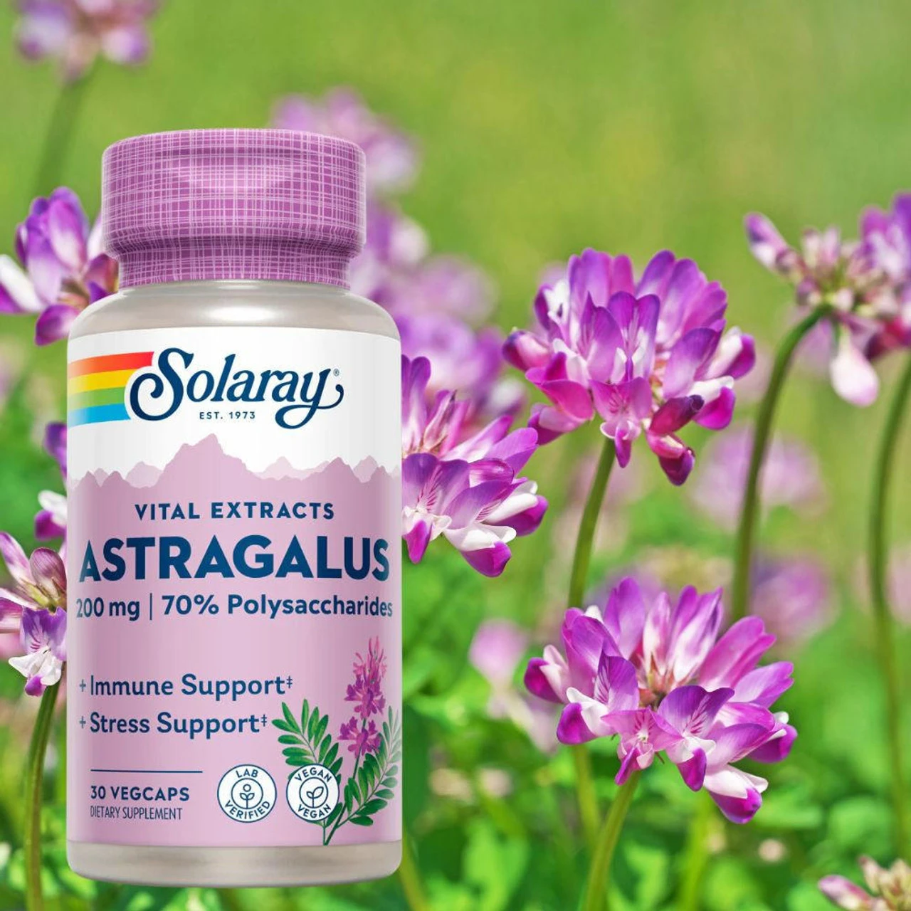 Solaray Astragalus Root Extract 200mg 30 Caps 4 Solaray Astragalus Root Extract 200mg 30 Caps - Image 4