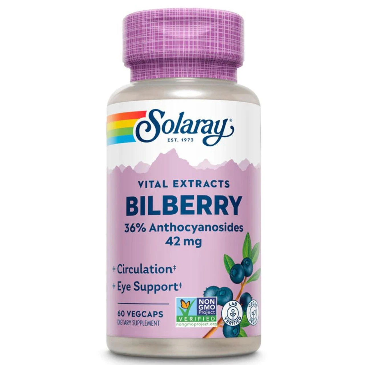 Solaray Bilberry Extract 42mg 60 Caps 1 Solaray Bilberry Extract 42mg 60 Caps