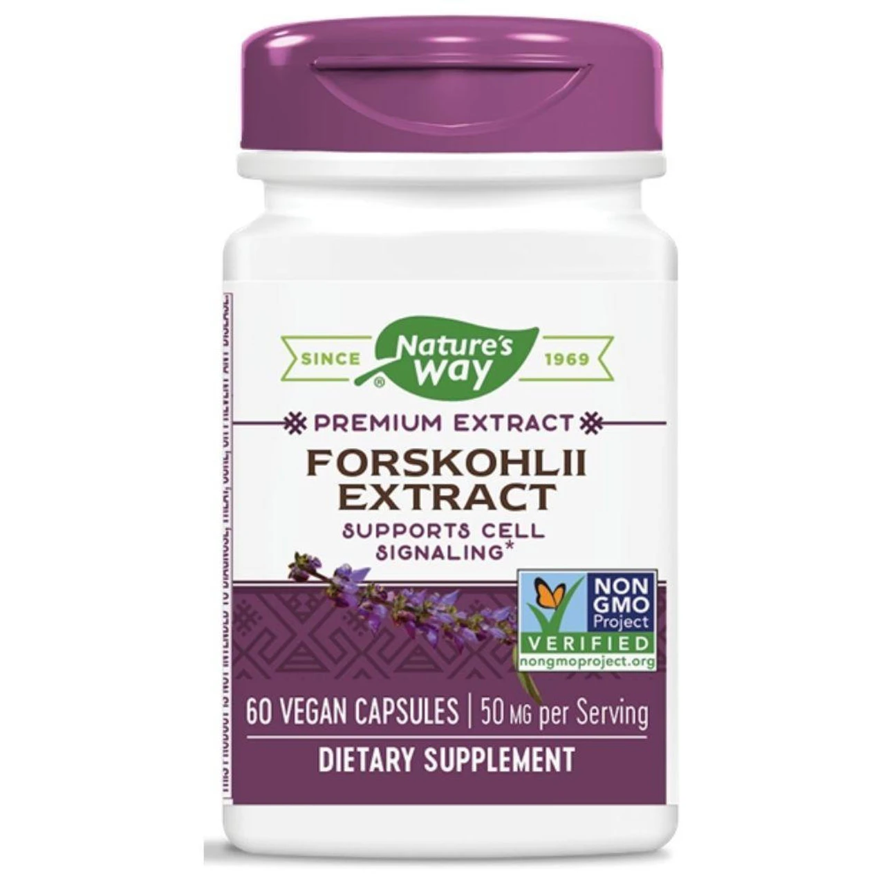 Nature's Way Coleus Forskohlii Extract 60 Capsules 1 Nature's Way Coleus Forskohlii Extract 60 Capsules
