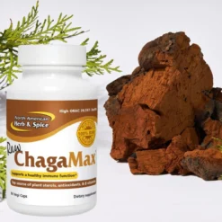North American Herb & Spice ChagaMax 90 Capsules -Now Foods Store Untitleddesign 1 430675be 1a7b 4444 bbbe 1be8c1704a3c 66230.1704737126