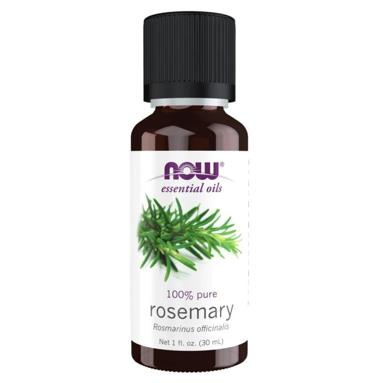 Now Foods Rosemary Oil 1 Fl Oz 1 Now Foods Rosemary Oil 1 Fl Oz