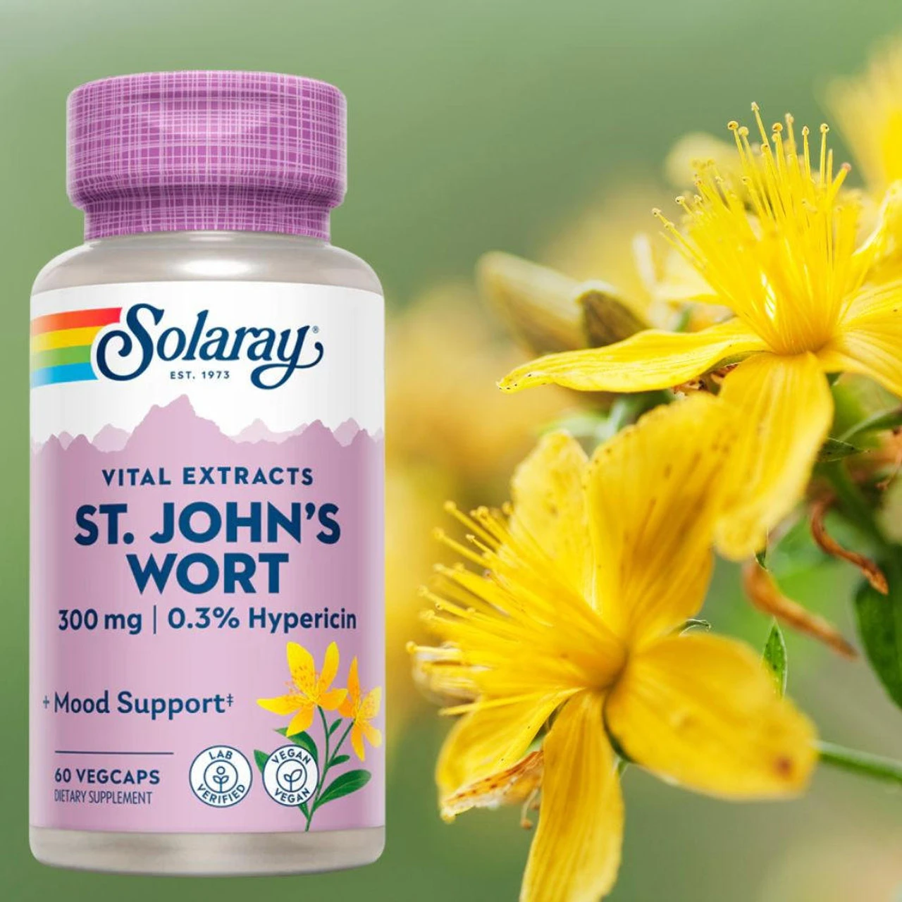 Solaray St. John's Wort 300mg 60 Capsules 2 Solaray St. John's Wort 300mg 60 Capsules - Image 2
