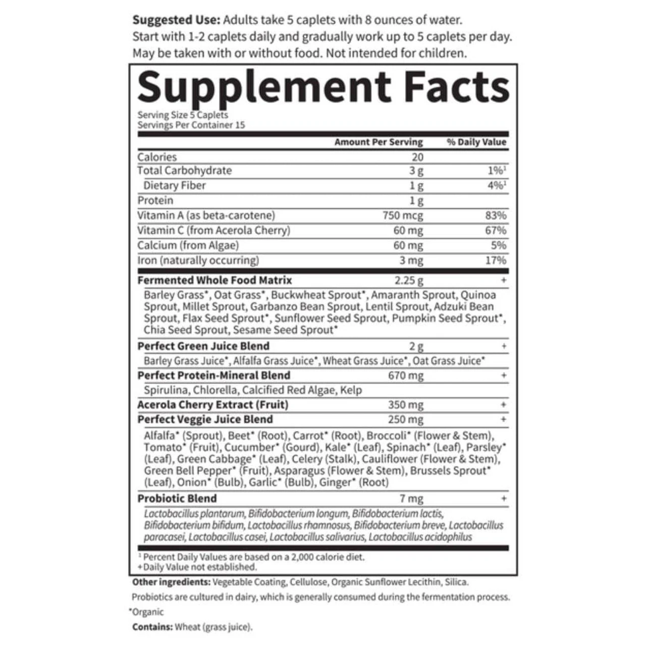 Garden Of Life Perfect Food Super Green Formula 300 Caplets 2 Garden Of Life Perfect Food Super Green Formula 300 Caplets - Image 2