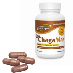North American Herb & Spice ChagaMax 90 Capsules -Now Foods Store Untitleddesign 65 84edf216 cf33 4716 950b 13e0961ba2e1 43964.1704741521
