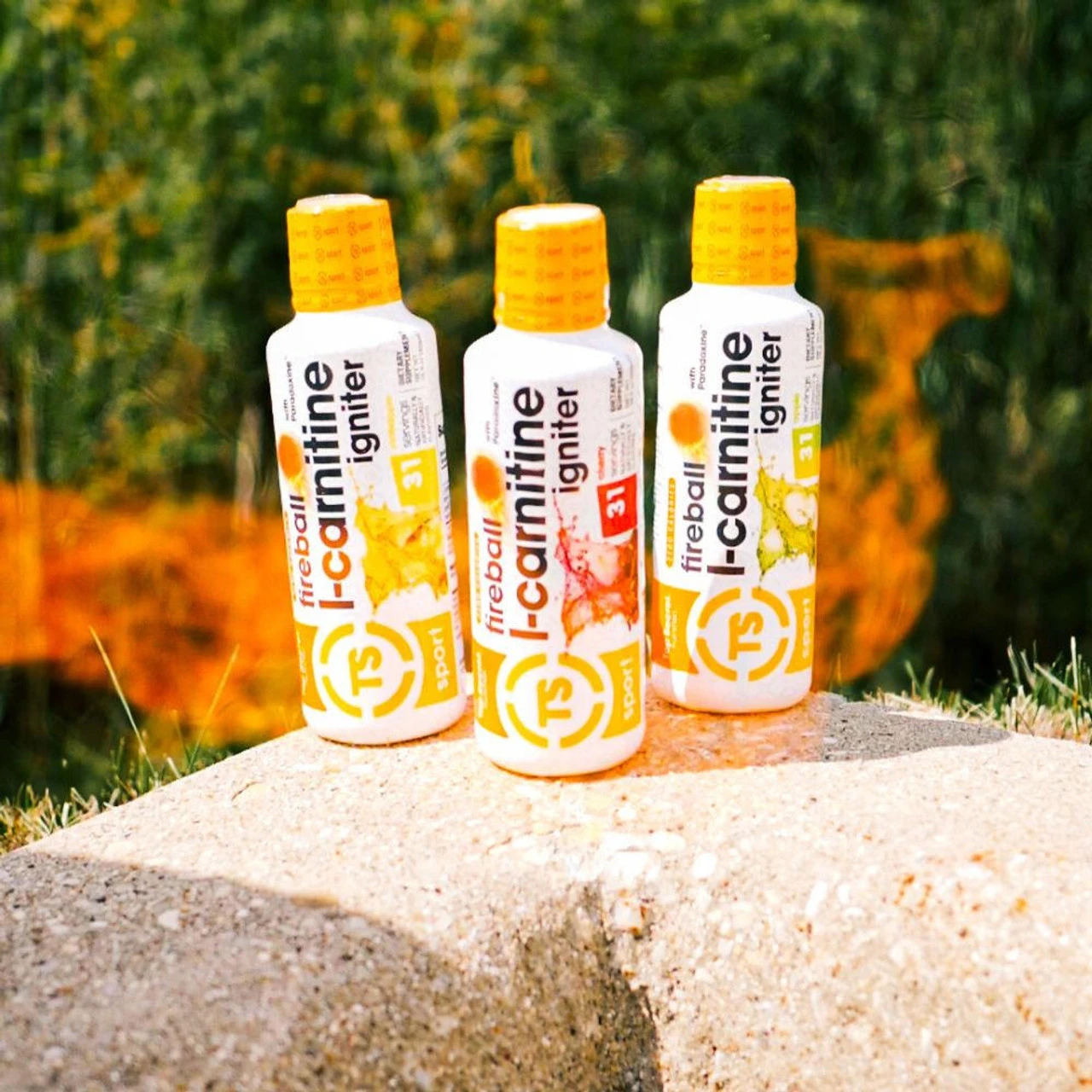 Top Secret Nutrition Fireball L-Carnitine Igniter 6 Top Secret Nutrition Fireball L-Carnitine Igniter - Image 6