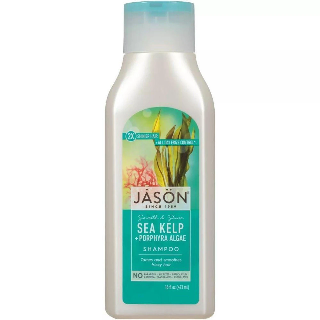 Jason Soothing Sea Kelp Shampoo 16oz 1 Jason Soothing Sea Kelp Shampoo 16oz