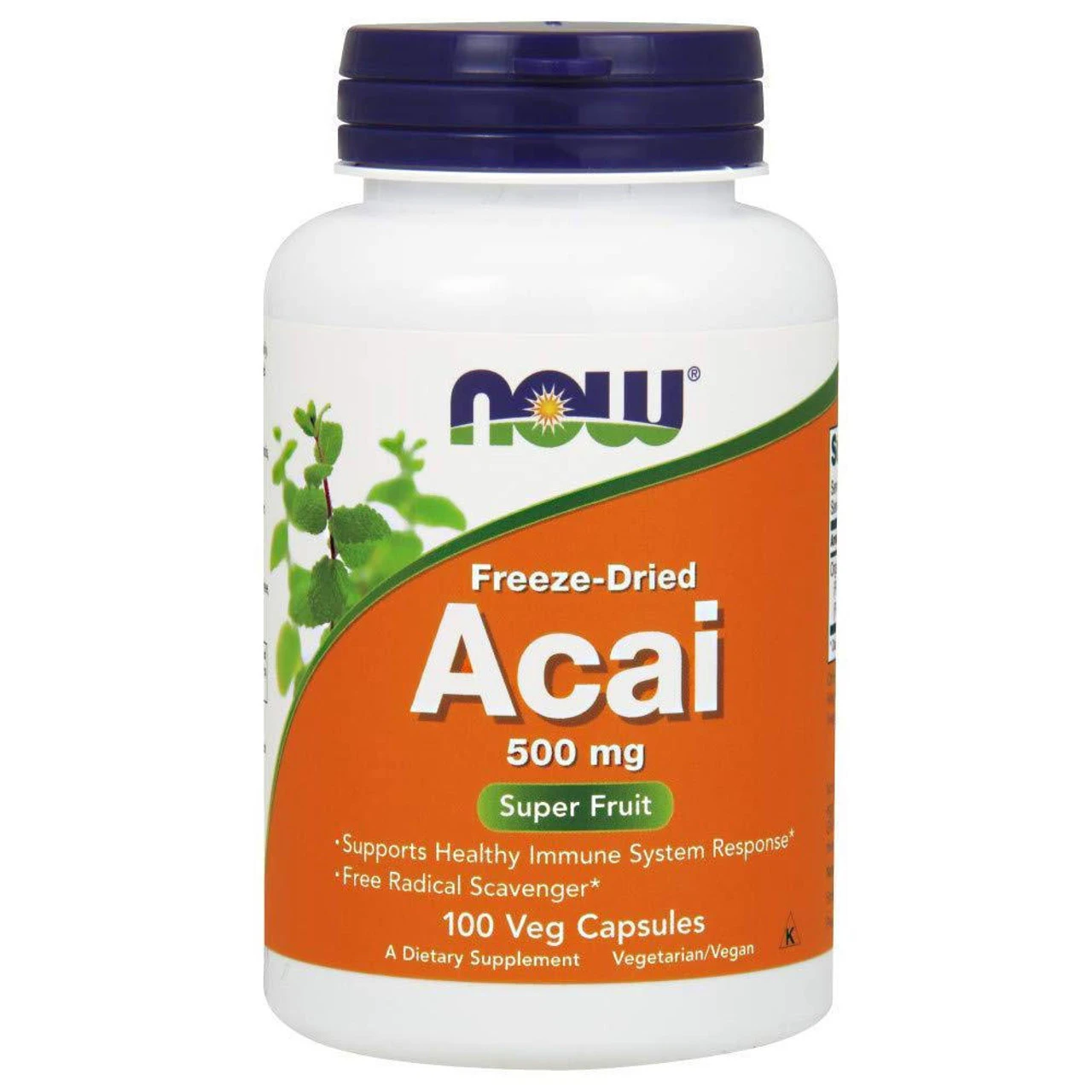 Now Foods Acai 500 Mg 100 Vegetable Capsules 1 Now Foods Acai 500 Mg 100 Vegetable Capsules