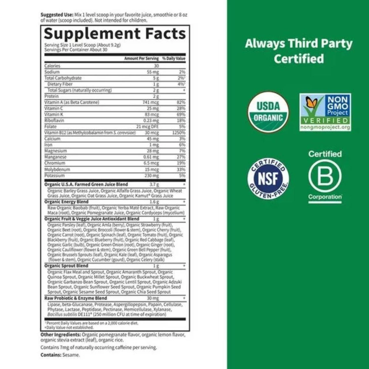 Garden Of Life Raw Organic Perfect Food Energizer 9.73oz 2 Garden Of Life Raw Organic Perfect Food Energizer 9.73oz - Image 2