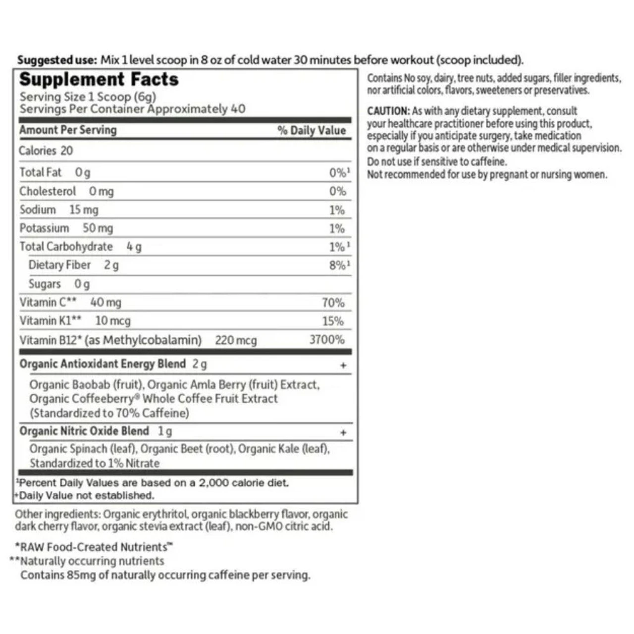 Garden Of Life ENERGY+FOCUS Sugar Free Blackberry Cherry 40SV 2 Garden Of Life ENERGY+FOCUS Sugar Free Blackberry Cherry 40SV - Image 2
