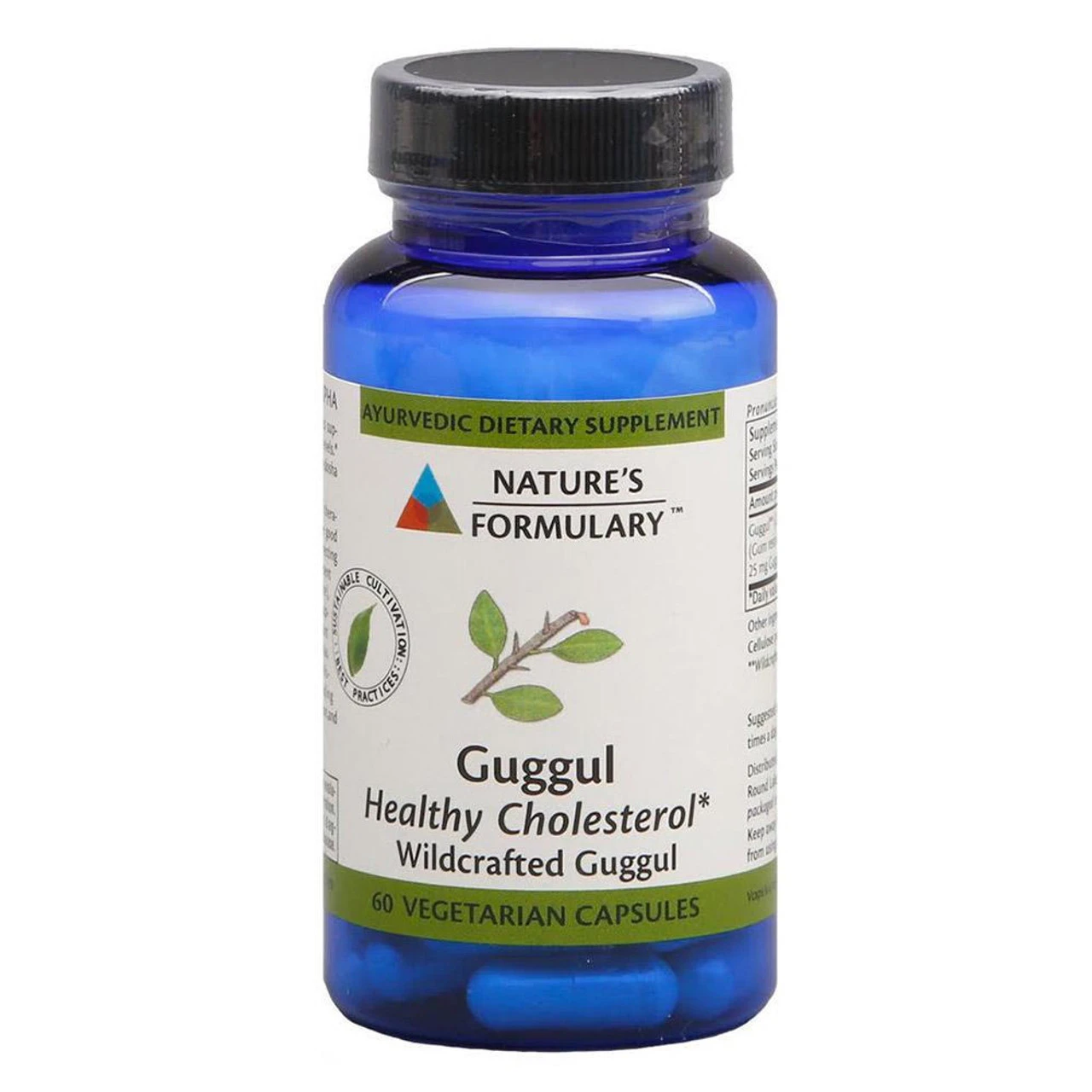 Nature's Formulary Guggul 60 Capsules 1 Nature's Formulary Guggul 60 Capsules