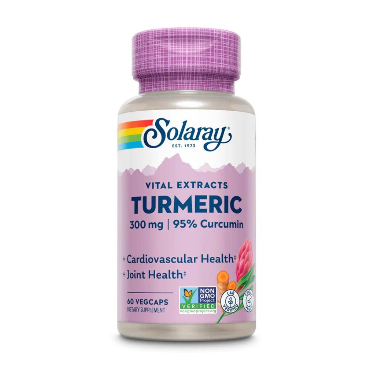 Solaray Turmeric Root Extract 300mg 60 Caps 1 Solaray Turmeric Root Extract 300mg 60 Caps